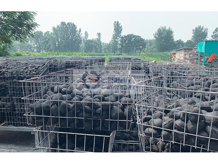 Usine de charbon de bois pour barbecue