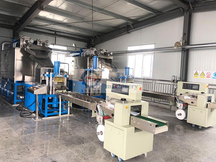 dry ice processing plant manufacturer