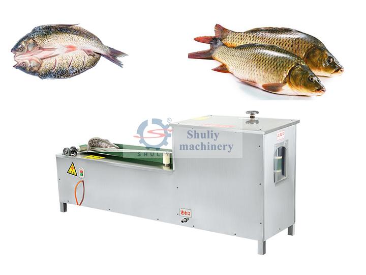 fish belly cutting machine