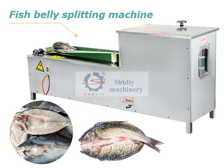 Fish belly splitting machine