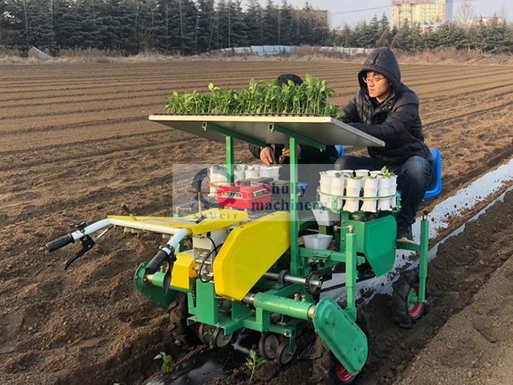 manual transplanter machine