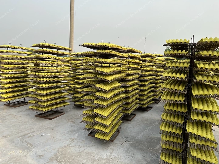 mass production of egg cartons