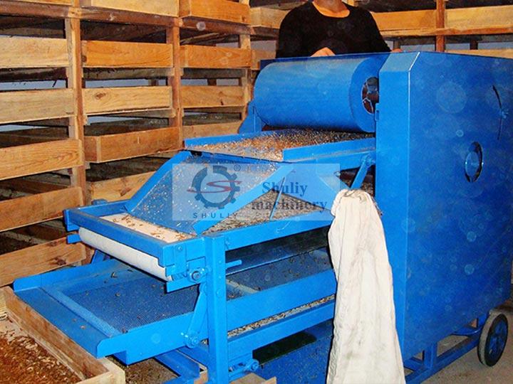 mealworm sorting machine in work