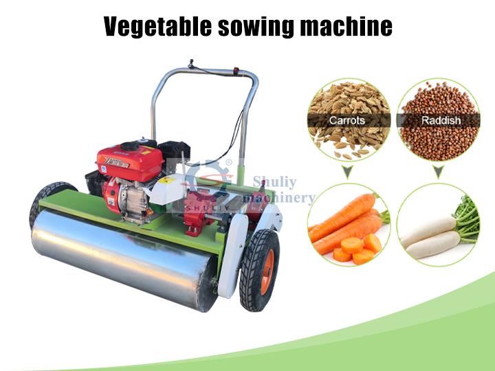 Vegetable planter machine vegetable sowing machine - Shuliy Machinery