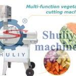 multi-functional vegetable cutting machine