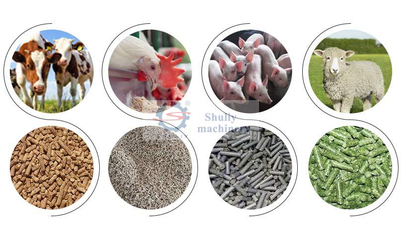 different kinds of animal feed pellets