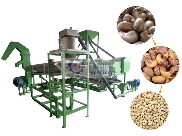 fully auromatic cashew processing plant