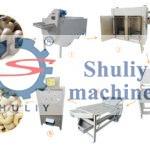 small cashew nut production line