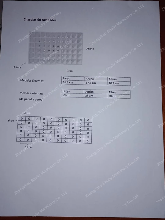 khay ươm cây giống của khách hàng Mexico